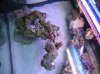 1557AquaScaping_025.jpg