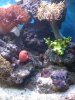 IMG_0082.jpg