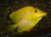 DSC00236.jpg