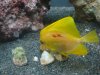 DSC00238.jpg