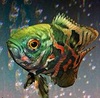 Epixstar