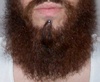 TheBeardedMan