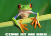 bnzrk