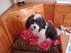 HallieBaby123