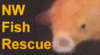 nwfishrescue