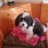 HallieBaby123