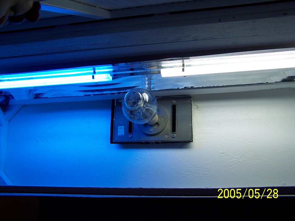 My brothers DIY canopy w/ 1-250 watt MH and 2-65watt PCs