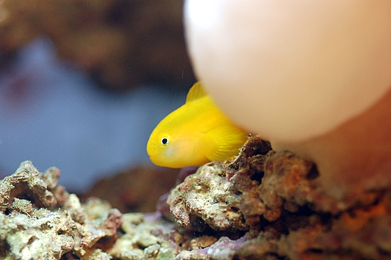 Oh, sorry...didnt know this was a bad time <img src="styles/default/xenforo/clear.png"...