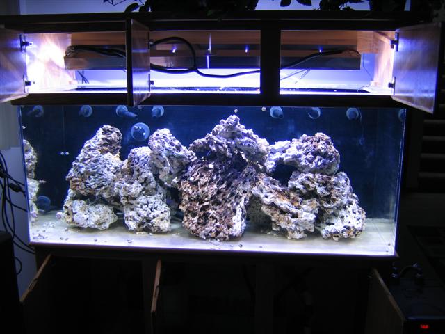 Full tank with lighting