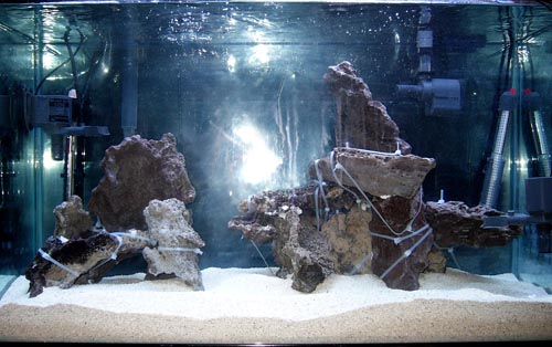 I know there are a milion of these photos. But I just had to take a shot.  Im hoping all the cable...