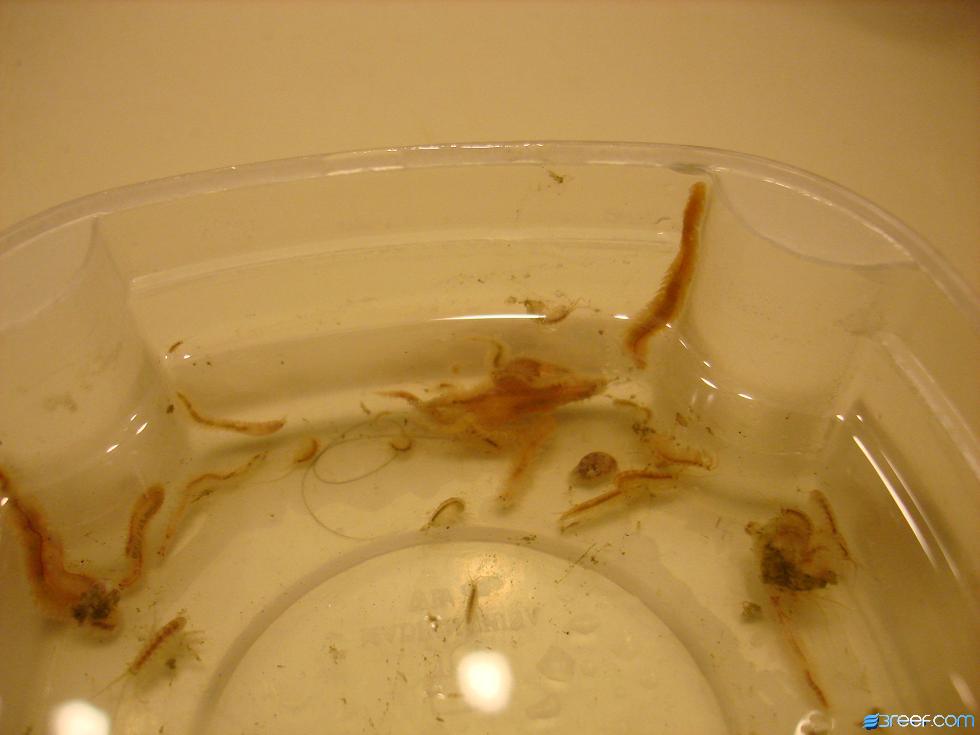 need to know what it is