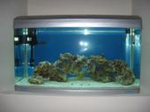 Jebo R3100 Saltwater Tank, 65 Gallons w/50 # of live rock.