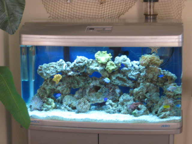 76 Gallon JEBO R3100<br />
400 Emperor filer <br />
uv<br />
Super Skimmer