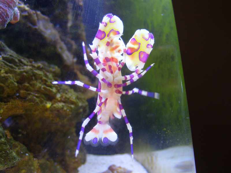 Harly takes his inspiration from R. Kelly when he declares, &amp;quot;I believe I can...