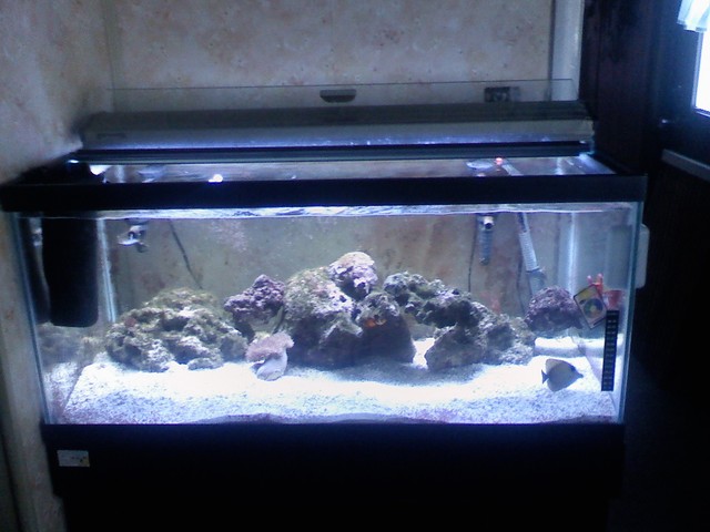 full tank. everything so far. :]