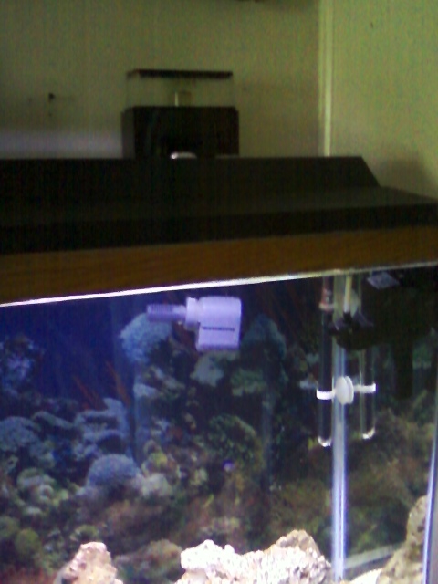 how i set up my skimmer and i think its not working