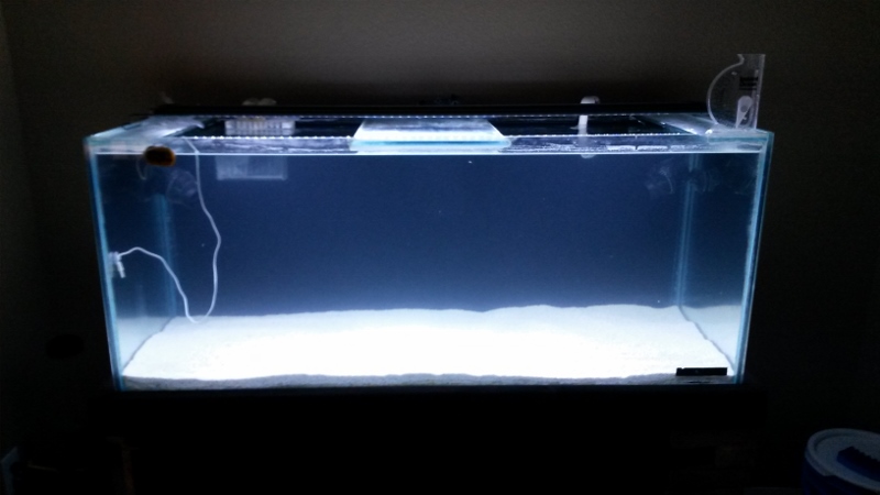 new tank progression