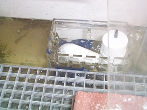 Overflow Box in Action