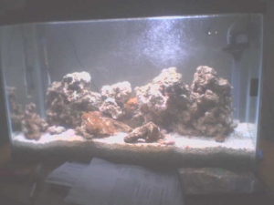 My rock!