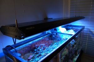 Angled Front View Tek-5