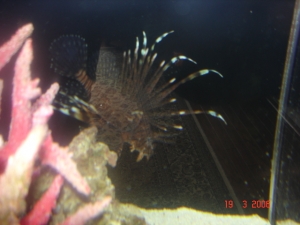 DSC02670