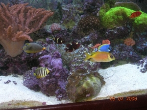 Picture_367