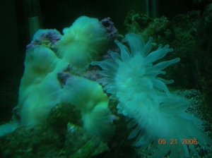 DSCN0226