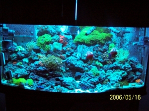 Atinic pic of tank