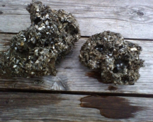 My first diy rock