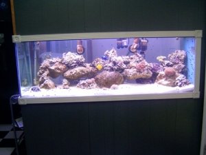 Picture_048