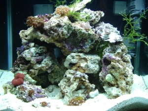 nano08-15-06