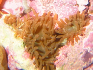 Picture_013