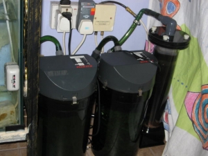 Eheim filters