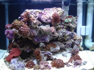 20 nano changed around a bit
