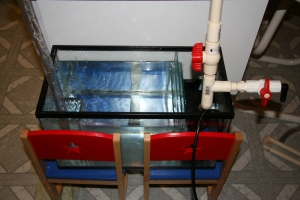 Sump / fuge plumbing