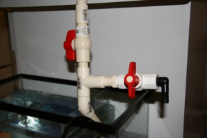 Sump / fuge plumbing