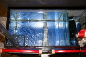 Sump / fuge plumbing