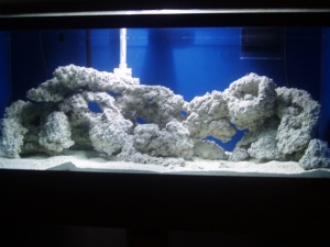Setting up 75 Gallon in wall