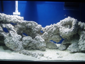 Setting up 75 Gallon in wall