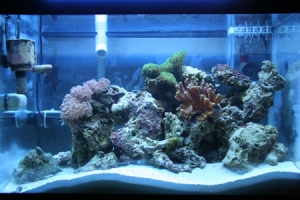 tank