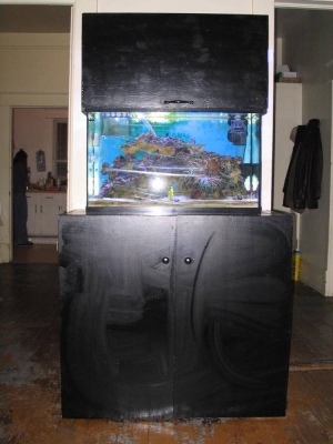 full_view1