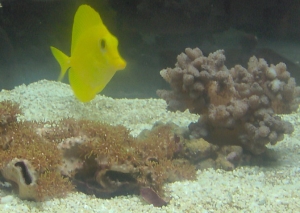 pic 2