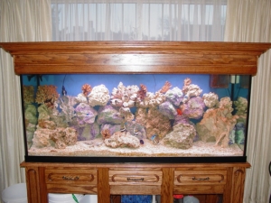 125gal tank custom tank stand