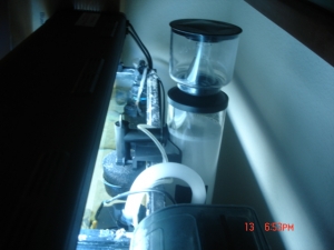 DSC00805