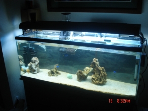 DSC00810