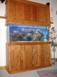 Tank w/DIY Hood big enough for MH's upgrade later