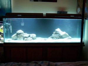 100 gallon " Day One "