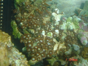 DSC00905
