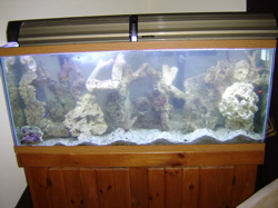 tank