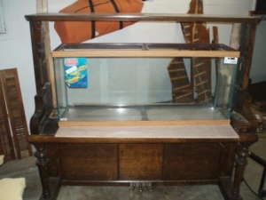 pianoreef1